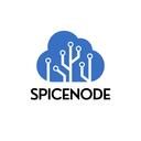 SpiceNode - Official Discord Server Discord Server Icon
