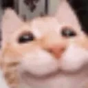 The Pookies Discord Server Icon