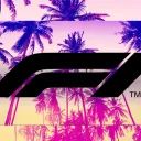 F1 paradise