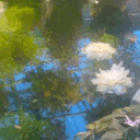 The Oklahoman House Discord server icon