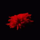 The Red Universe