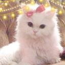Ronna's Chamber Discord Server Icon