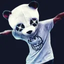 Panda's Chilling Spot