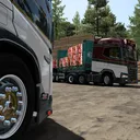 Bru  & DVL Trans
