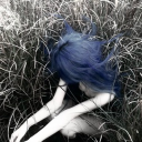 v1vid Discord server icon