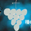 ぶどさば🧂