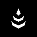 Conifer