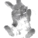 Srnity ៸៸ Discord server icon