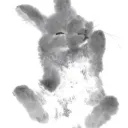 Srnity ៸៸ Discord Server Icon