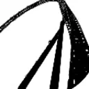 CoasterPost Offical Discord Server