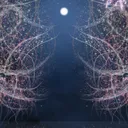 Shade Darkfire's Everlasting Night