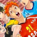 shoyo nation