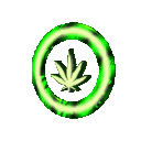WEEDM™ HQ