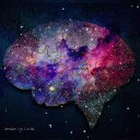 Psychology Nerds