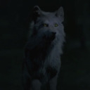 tribrid domain Server Icon