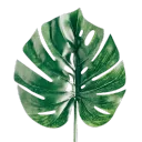 Roblox Plant Group