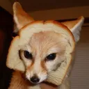 No Fox Given-Social Discord Server Icon