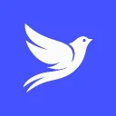 Letty Hideout — мониторинг Discord сервера, статистика и рейтинг
