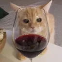 𝐖𝐢𝐧𝐢𝐚𝐫𝐧𝐢𝐚 𝐌𝐚𝐧𝐡𝐰 ・🍷・