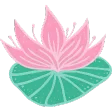 The Lilypad
