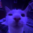 The