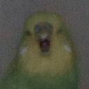 Dertleşek Discord Server Icon