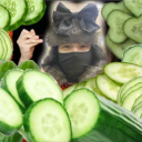 Egg's Spring Fridge Discord server icon