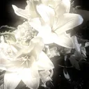 ⁹𓍢。𝕚ժ𝓎𝒍𝔩𝚒c  𑁍ܓ