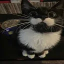 SASH'S DISCORD