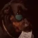 The Rhymezone