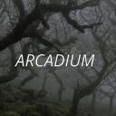 ArcadiumTM    .Active.Social.VC.Nitro.chill.Gaming.Pfps.Banners.Hangout.Vcs.Emojis.Fun Discord Server Icon