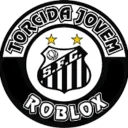 ⭐TORCIDA 🐳JOVEM ⭐ #RumoA200
