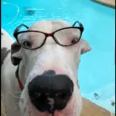 Mr Peabody's study