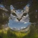 Cheeseforest7