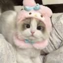Discovery icon for ❀࿐°. ༢. 𐔌🎀 ꒱ Catpie . Social . Active . Giveaways. Discord server