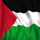 Palestine Discord Server Icon