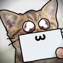 🐱 Cats of Discord