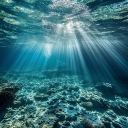 ଳ‧₊˚⋅The Depths⋅˚₊‧ଳ