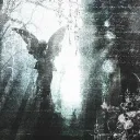 .⋆♱ 𝕰𝖑𝖎𝖙𝖊 𝕾𝖆𝖕𝖎𝖊𝖓𝖘 ˙⋆♱