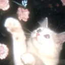 ʙʀᴀᴛᴢ & ᴛᴡɪxɪꜱ ᴘʟᴀʏɢʀᴏᴜɴᴅ