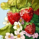 ⏖　　　 ⁺　　　 ⿴    fragola   #dead