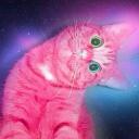 Plvm3ri4's official server Discord Server Icon