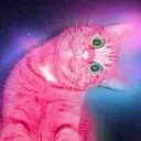 Plvm3ri4's official server Discord Server Icon