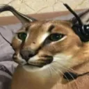 super silly games Discord Server Icon