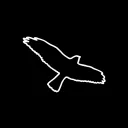 Esoterica Discord Server Icon