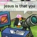 Penguins Going Their Own Way Discord server icon