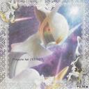 。*゚+The Honor of Arceus.。.:* Discord Server Icon