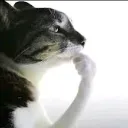 AR Discord Server Icon