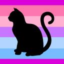 Community for Cats Discord Server Icon