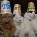 The Coned Cats.